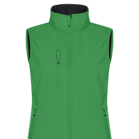 Colore VERDE ACIDO 605